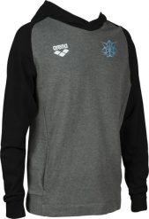 Arena Bluza sportowa z kapturem Arena Bishamon R.L. Bluzy nierozpinane męskie ARENA, l, bez wzorów, sportowe, bez ramiączek, z kapturem. Za 279.99 zł.