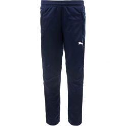PUMA JR Spodnie Treningowe Peacoat 164 - Komfort i Wydajność. Niebieskie długie spodnie sportowe męskie Puma, bez wzorów, do piłki nożnej. Za 175.99 zł.