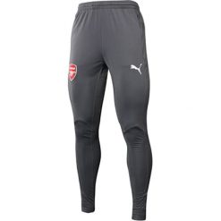 Spodnie sportowe w kolorze szarym. Długie spodnie sportowe męskie Puma. W wyprzedaży za 107.95 zł.