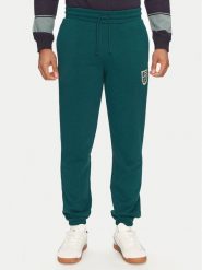 Puma Spodnie dresowe Sports Legacy Graphic 629631 Zielony Regular Fit. Zielone spodnie dresowe męskie Puma, bez wzorów, z bawełny. Za 209.99 zł.