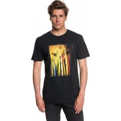 Quiksilver T-Shirt Męski Quivcentralss M Tees kvj0 Czarny L. T-shirty sportowe męskie marki Quiksilver. W wyprzedaży za 85.00 zł.