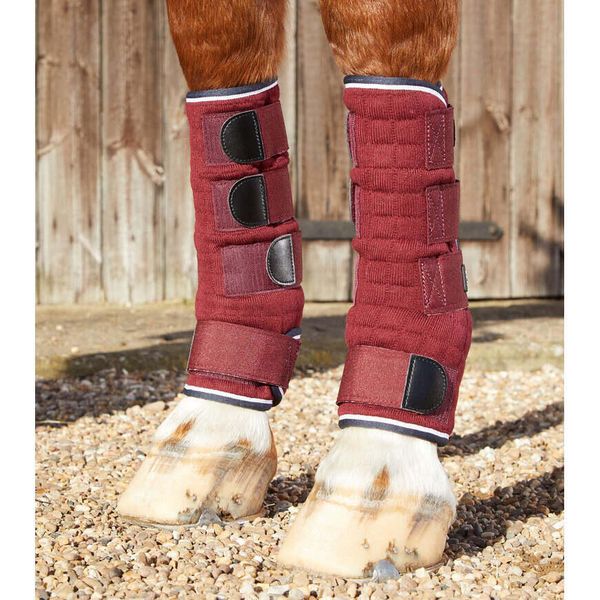 Szybkoschnące getry dla koni Premier Equine. Brązowe legginsy męskie PREMIER EQUINE, xl, bez wzorów, do jazdy konnej. Za 249.00 zł.