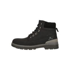 Buty Whistler Linnar. Czarne buty zimowe męskie Whistler, bez wzorów, sportowe, bez obcasa, bez zapięcia. Za 270.00 zł.