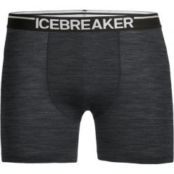 Icebreaker Mens Anatomica Boxers Jet Hthr/Black Xl. Bielizna termoaktywna męska marki Icebreaker. W wyprzedaży za 133.00 zł.