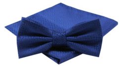 Mucha Męska z Poszetką w Zestawie - Alties - Niebieska, Drobny Wzór. Niebieskie krawaty i muchy męskie Alties, bez wzorów, eleganckie. Za 54.00 zł.