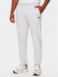 4F Spodnie dresowe 4FWMM00TTROM0942 Szary Regular Fit. Szare spodnie dresowe męskie 4f, bez wzorów, z bawełny. Za 109.99 zł.