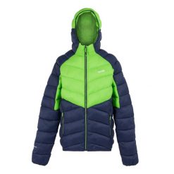 Męska Kurtka Ocieplana Z Kapturem Dalent. Niebieskie kurtki męskie Regatta, m, bez wzorów, z puchu, sportowe, bez ramiączek, z kapturem. Za 154.99 zł.