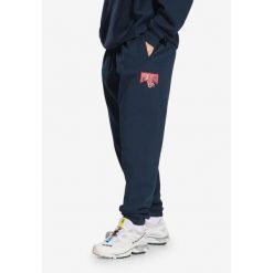 Spodnie dresowe męskie Prosto Chicago. Niebieskie spodnie dresowe męskie Prosto., bez wzorów, z dresówki. Za 244.99 zł.