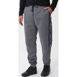 Szare Spodnie Ravenousness. Szare spodnie dresowe męskie Born2be, bez wzorów, z dresówki. Za 49.99 zł.