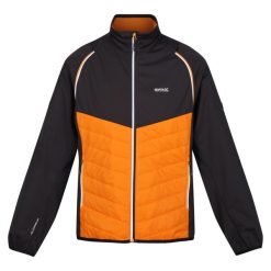 Kurtka Męska Steren Hybrid Soft Shell. Brązowe kurtki softshell męskie Regatta, m, bez wzorów, z softshellu, bez kaptura, trekkingowe. Za 135.99 zł.