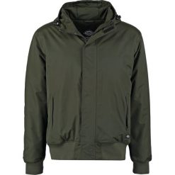 Dickies CORNWELL Kurtka zimowa olive green. Kurtki męskie Dickies. Za 369.00 zł.