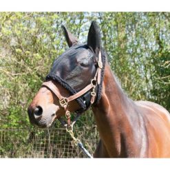 Czapka dla konia na pastwisku T de T. Czarne czapki męskie T DE T, bez wzorów, sportowe. Za 183.50 zł.