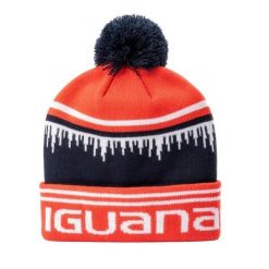 Czapka Unisex Dla Dorosłych Other. Brązowe czapki męskie IGUANA, bez wzorów, sportowe. Za 75.99 zł.