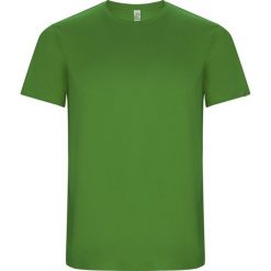 Męska Koszulka Sportowa Imola Z Krótkim Rękawem. Zielone t-shirty sportowe męskie ROLY, l, bez wzorów, sportowe, bez ramiączek. Za 33.99 zł.
