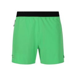 Spodenki do biegania męskie Endurance Letic. Zielone szorty sportowe męskie Endurance, bez wzorów, sportowe. Za 159.99 zł.