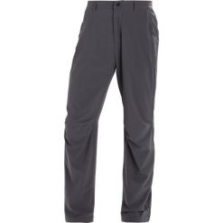 Adidas Performance TERREX LITEFLEX Spodnie materiałowe grey five. Długie spodnie sportowe męskie adidas Performance. Za 349.00 zł.