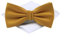 Męska Mucha z Poszetką w Zestawie - Chattier - Złota. Żółte krawaty i muchy męskie His Story, bez wzorów, z poliesteru, eleganckie. Za 59.00 zł.