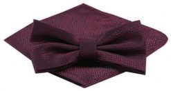 Męska Mucha z Poszetką Alties - Bordo, Melanżowa Struktura. Czerwone krawaty i muchy męskie Alties, bez wzorów, eleganckie. Za 54.00 zł.