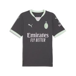 T-Shirt Puma AC Milan Replika Trzeciej Koszulki Dla Dorosłych. Szare t-shirty sportowe męskie Puma, s, bez wzorów, sportowe, bez ramiączek. W wyprzedaży za 256.00 zł.