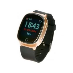 GARETT GPS3 Złoty. Krokomierze marki GARETT. Za 379.00 zł.
