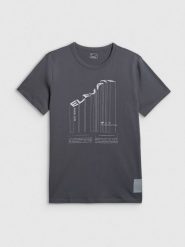 4F T-shirt regular z nadrukiem męski - szary S. Szare t-shirty męskie 4f, m, bez wzorów, z bawełny, bez kołnierzyka, bez ramiączek. Za 69.99 zł.