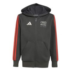Bluza Z Kapturem Audi Formula One Team Dna Full Zip Hoodie Youth. Czarne bluzy z kapturem męskie ADIDAS, bez wzorów, z kapturem. Za 239.00 zł.