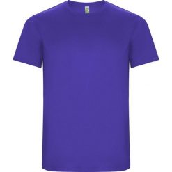 Męska Koszulka Sportowa Imola Z Krótkim Rękawem. Fioletowe t-shirty sportowe męskie ROLY, m, bez wzorów, sportowe, bez ramiączek. Za 33.99 zł.