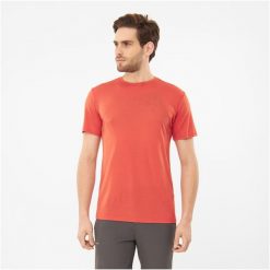 T-shirt męski VIKING Morain. Brązowe bielizna termoaktywna męska Viking, l, bez wzorów, bez ramiączek. Za 118.99 zł.