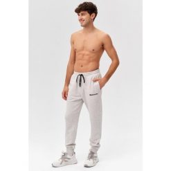 Męskie spodnie dresowe sportowe Rough Radical Cotton Active Joggers. Szare długie spodnie sportowe męskie ROUGH RADICAL, bez wzorów, z dresówki, na fitness i siłownię. W wyprzedaży za 144.42 zł.