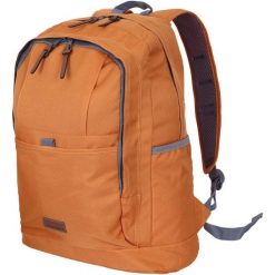Solidny plecak Icepeak Gloster na przygody na świeżym powietrzu. Fioletowe plecaki męskie Icepeak, bez wzorów. Za 157.99 zł.