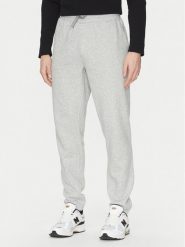 Quiksilver Spodnie dresowe Salt Water AQYFB03034 Szary Regular Fit. Szare spodnie dresowe męskie Quiksilver, bez wzorów, z bawełny. Za 129.99 zł.