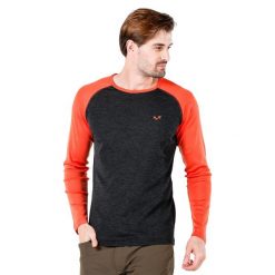 Męska Koszulka Termoaktywna 100% Wełna Merino Brant Woolona. Brązowe bielizna termoaktywna męska WOOLONA, m, bez wzorów, z wełny, bez ramiączek. W wyprzedaży za 324.00 zł.