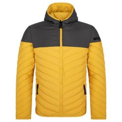 Żółta kurtka męska Jenda 3XL - Lekka i oddychająca. Żółte kurtki treningowe męskie ZSPORT, m, bez wzorów, bez kaptura, rowerowe. Za 266.25 zł.