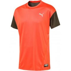 Puma A.C.E. Ss Tee Firecracker Forest Night Xl. T-shirty sportowe męskie marki Puma. Za 89.00 zł.