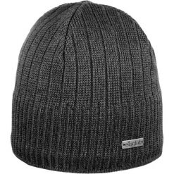 Czapka męska zimowa Eisglut Kaig Cotton. Szare czapki męskie EISGLUT, na zimę, bez wzorów, sportowe. Za 167.50 zł.