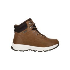 Buty zimowe Whistler Parrite. Brązowe buty trekkingowe męskie Whistler, na zimę, bez wzorów, bez zapięcia, trekkingowe. Za 333.00 zł.
