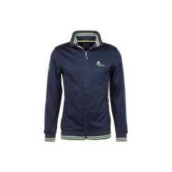 Bluza z polaru Shell Peak Mountain Creen. Niebieskie bluzy z polaru męskie Peak Mountain, bez wzorów, z polaru, sportowe, bez ramiączek, bez kaptura. W wyprzedaży za 276.50 zł.