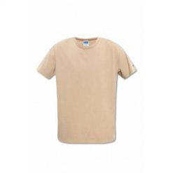 Koszulka sportowa męska Champion X Todd Snyder. Brązowe t-shirty sportowe męskie CHAMPION, m, bez wzorów, sportowe, bez ramiączek. Za 161.00 zł.