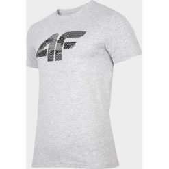 T-shirt męski TSM077 - chłodny jasny szary melanż. T-shirty męskie 4f. W wyprzedaży za 49.99 zł.