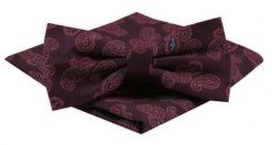 Mucha Męska z Poszetką Alties - Bordo, Wzór Paisley. Czerwone krawaty i muchy męskie Alties, bez wzorów, eleganckie. Za 54.00 zł.