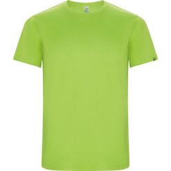 Męska Koszulka Sportowa Imola Z Krótkim Rękawem. Szare t-shirty sportowe męskie ROLY, l, bez wzorów, sportowe, bez ramiączek. Za 33.99 zł.