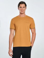 Koszulka męska bawełniana z logo BIG STAR brązowa Wlader 803. Brązowe t-shirty męskie Big Star, l, bez wzorów, z bawełny, bez kołnierzyka, bez ramiączek. Za 119.99 zł.
