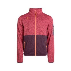 Kurtka polarowa Vadiel M męska: ciepło, wygoda i styl na Twoje przygody na śwież. Brązowe kurtki męskie IZAS, m, bez wzorów, z polaru, eleganckie, bez ramiączek, bez kaptura. Za 291.26 zł.