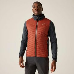 Męska kurtka pikowana Andreson Marl Hybrid. Brązowe kurtki męskie Regatta, m, bez wzorów, z poliamidu, bez ramiączek, bez kaptura. W wyprzedaży za 229.99 zł.