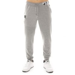 Spodnie dresowe Leone 1947 Apprel z gumką i sznurkiem. Idealne na co dzień. Szare spodnie na co dzień męskie LEONE 1947 APPAREL, bez wzorów, z bawełny, sportowe. W wyprzedaży za 112.15 zł.