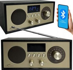 Radio przenośne Brda FM/BT/USB akum.2200mAh,10W,ładowanie indukcyjne telefonu,czarno-złote. Czarne głośniki przenośne LTC. Za 126.14 zł.