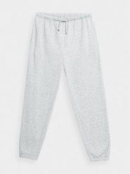 Outhorn Spodnie dresowe OTHAW23TTROM444 Szary Regular Fit. Szare spodnie dresowe męskie Outhorn, bez wzorów, z bawełny. W wyprzedaży za 89.99 zł.