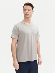 Aulp T-Shirt Tommy Szary Regular Fit. Szare t-shirty sportowe męskie Aulp, m, bez wzorów, z syntetyku, sportowe, bez ramiączek. Za 49.99 zł.