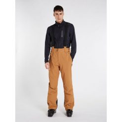 Spodnie męskie Protest PRTSARDIS snowpants. Brązowe spodnie narciarskie i snowboardowe męskie Protest, bez wzorów, narciarskie. Za 399.00 zł.