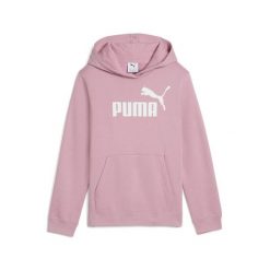 Młodzieżowa polarowa bluza z kapturem ESS z logo No. 1 PUMA Poised Pink. Czerwona bluzy z kapturem męskie Puma, m, bez wzorów, z polaru, z kapturem. Za 159.00 zł.